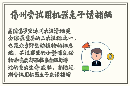 天天看片视频免费观看